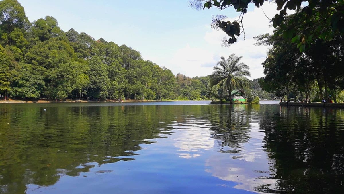 Situ Gede